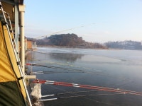 붕어연가 > 중부(성미지)낚시터 첫 물대포낚시.... : 낚시사랑