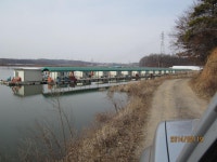 로치 > 화성 안석낚시터..붕순이들이 겨울잠에서 깨어났습니다~!! : 낚시사랑