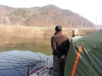 붕어연가 > 육령지의 고운붕어.... : 낚시사랑