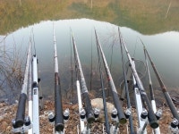 붕어연가 > 육령지의 고운붕어.... : 낚시사랑