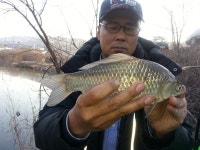 붕어연가 > 육령지의 고운붕어.... : 낚시사랑