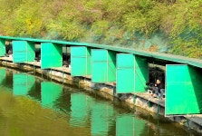 묵리낚시터 유료낚시터 > 만원의 행복! : 낚시사랑