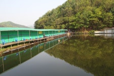 붕어도인 > 산속의 별장같은 양평 대명낚시터~ 붕어도인 : 낚시사랑