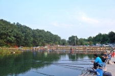 강호지락 > 시흥 달월낚시터 : 낚시사랑