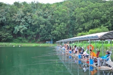 강호지락 > 달월낚시터 : 낚시사랑