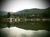 붕어연가 > 고초골로 가을붕어를 만나러.... : 낚시사랑