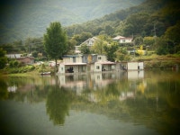 붕어연가 > 고초골로 가을붕어를 만나러.... : 낚시사랑