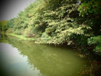 붕어연가 > 고초골로 가을붕어를 만나러.... : 낚시사랑