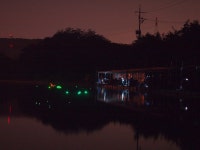 붕어연가 > 고초골로 가을붕어를 만나러.... : 낚시사랑