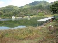 로치 > 양평 그린낚시터..오랜만에 힐링만 하고 왔습니다~!! ^^:: : 낚시사랑