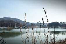 츄릅 > 안성 독정낚시터 다녀왔습니다..^^ : 낚시사랑