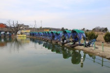 예담 > 아리수 낚시터 : 낚시사랑