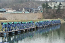 츄릅 > 초원낚시터 붕어사냥^^ : 낚시사랑