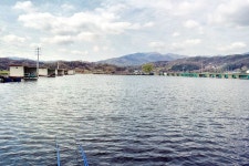 채경빠 > 양평오빈낚시터 : 낚시사랑