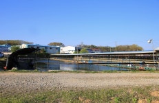 예담 > 새주인과 새출발하는 고정낚시터 : 낚시사랑