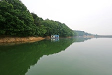 노아주 > 긴급! 대박! 토종붕어전용 상지낚시터를 다녀오며... : 낚시사랑