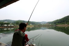 노아주 > 긴급! 대박! 토종붕어전용 상지낚시터를 다녀오며... : 낚시사랑