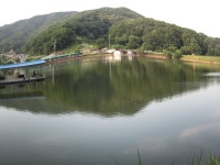 로치 > 음성 상곡낚시터..요즘 핫~!! 한 토종대물붕어터를 소개 합니다~!! : 낚시사랑