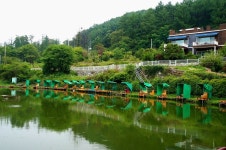8당붕어 > 물맑은 곳에서 대형 메기에 도전... : 낚시사랑