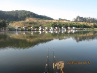 로치 > 안성 도곡낚시터..밤새 더더더더더더~~..환상의 몸통찍기~!! : 낚시사랑