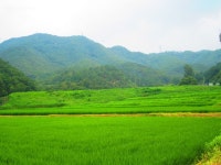 로치 > 양평 그린낚시터..만수위에 밤낚시 대물붕어 입질 베리 굿~!! : 낚시사랑