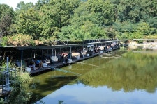 그~네 > 중추절 새말낚시터에서... : 낚시사랑