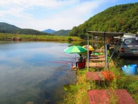 로치 > 양평 그린낚시터..터졌습니다~!!(뚝방이요~~^^::) : 낚시사랑