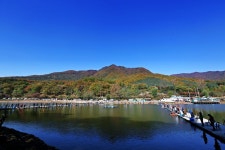 노아주 > 노아주의 가을 낚시여행[곤지암 유정낚시터] : 낚시사랑