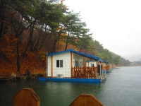 로치 > 제천 명암낚시터..청풍명월에서 무지개를 만나보세요~!! ^^* : 낚시사랑