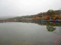 로치 > 안성 도곡낚시터..새우에 잘나오네요..낮보다는 밤조황이 좋습니다~!! : 낚시사랑