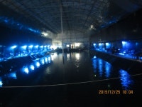 로치 > 연천 지오바다낚시터..성탄절은 낚시와 함께~!!(간큰 남자 ^^::) : 낚시사랑