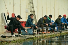 기파랑 > 안석하우스낚시터 - 토종 하우스 낚시 : 낚시사랑