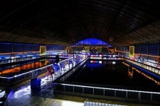 노아주 > 또! 다시, 연곡바다하우스낚시터 대왕 랍스타(바다가재) 잡으러~! : 낚시사랑