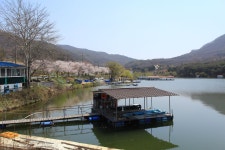 young gun > 산란임박 산들낚시터 : 낚시사랑