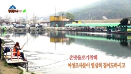 형제꽝조사 > 산란전 토종붕어를 낚아라 김포낚시터편 : 낚시사랑