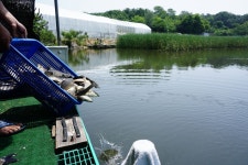 츄릅 > 화성 안석낚시터 : 낚시사랑