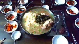 태공준 > ◈ 깊은산속 소류지 메기낚시 양평 세월낚시터 ◈ : 낚시사랑