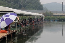 은물결 > 힘 붙은 가을 붕어들!! - 봉담 웃골낚시터 : 낚시사랑