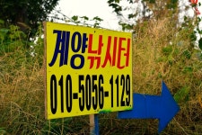 나래마루 > 평택 계양낚시터 - 가을 토종붕어 : 낚시사랑