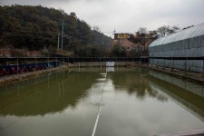 청명2 > 랍스터하우스 시즌을 알립니다! : 낚시사랑