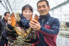 청명2 > 랍스터하우스 시즌을 알립니다! : 낚시사랑