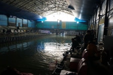 그~네 > 우금낚시공원 실내낚시터 개장식을 다녀와서... : 낚시사랑