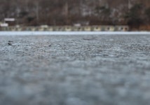 에이케이 > 용인 지곡낚시터 * 황실토종닭 산골짜기 용인본점 : 낚시사랑