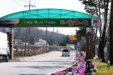 노아주 > 고삼 느티나무좌대 : 낚시사랑