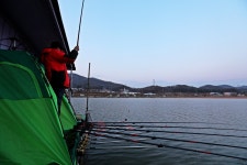 노아주 > 아산 안골지 : 낚시사랑