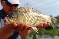 노아주 > 평택 계양낚시터 : 낚시사랑