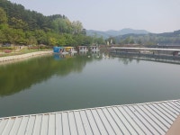 아이언맨^-^ > 금광호수낚시터에서... : 낚시사랑