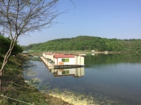 오산나그네 > 오산나그네의 삼인지낚시터 조행기.. : 낚시사랑