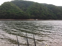 오산나그네 > 오산나그네의 원주 고산낚시터 조행기^**^ : 낚시사랑