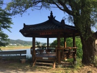 오산나그네 > 오산나그네의 군위 비들지 낚시터 조행기 : 낚시사랑